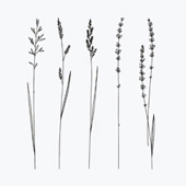 Тимчасове тату Arley Sign Польові гілочки