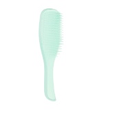 Щітка для волосся Tangle Teezer The Wet Detangler Fine & Fragile Sea Spray Green