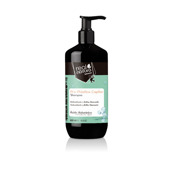 Шампунь SEM SAL PRO-PLÁSTICA CAPILAR для відновлення волосся 500 мл